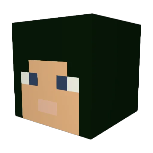 tonsuke1102 Minecraft avatar head, 3D render