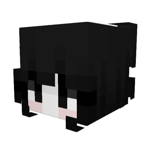 tonyborges Minecraft avatar head, 3D render