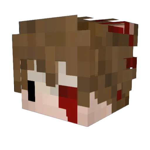 tonyhill Minecraft avatar head, 3D render