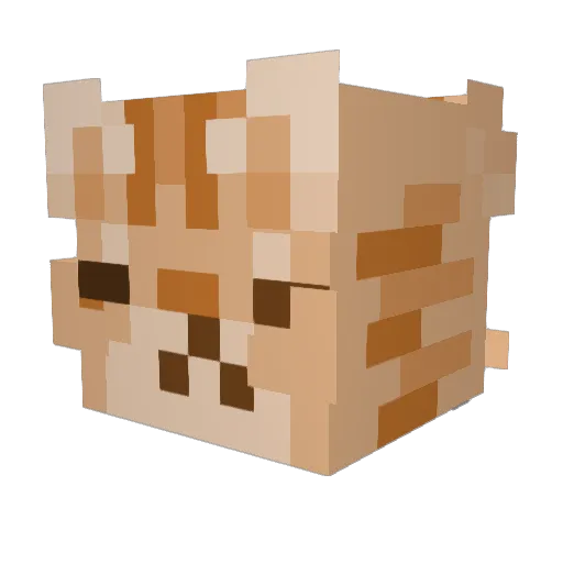 tonyismao Minecraft avatar head, 3D render