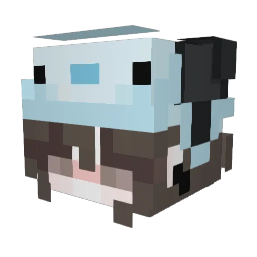 tonyo4ever Minecraft avatar head, 3D render