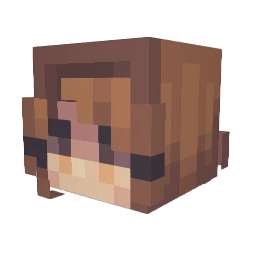 tonypoo Minecraft avatar head, 3D render