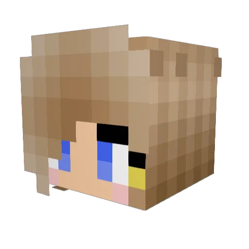 tonyys Minecraft avatar head, 3D render