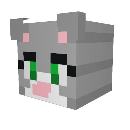 tooUWUforyou Minecraft avatar head, 3D render