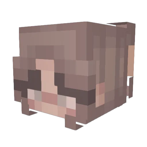 toobjoobs Minecraft avatar head, 3D render