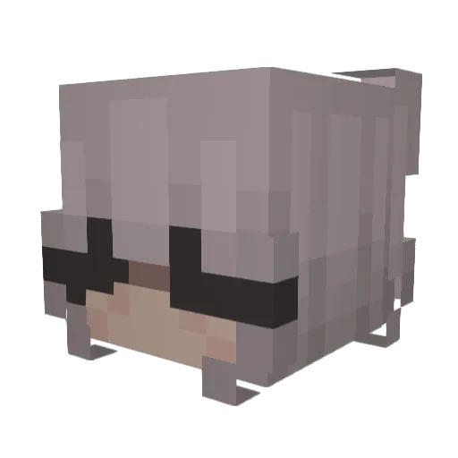 toodaloos Minecraft avatar head, 3D render