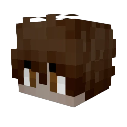 toogoodadam Minecraft avatar head, 3D render