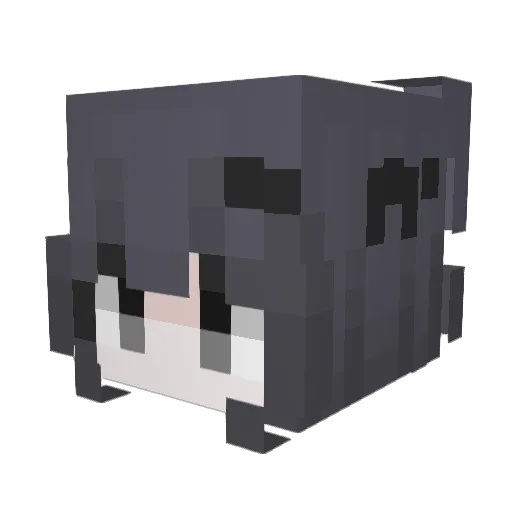 tookeo Minecraft avatar head, 3D render
