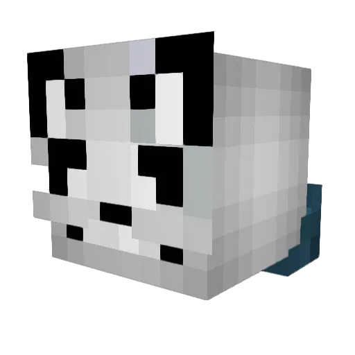 tookiecookie246 Minecraft avatar head, 3D render