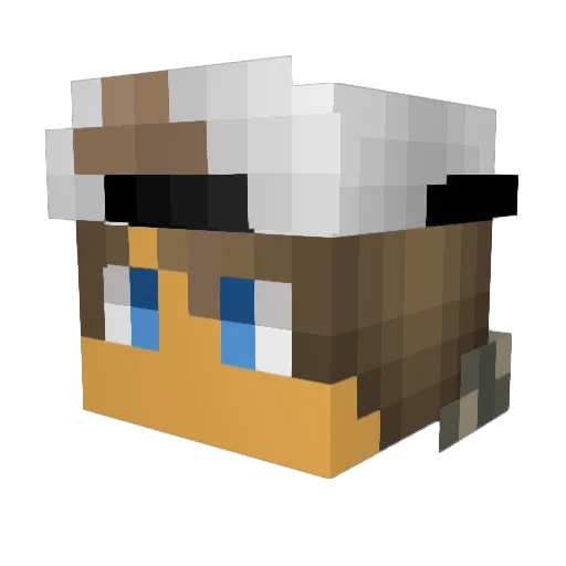 tookyourcookies Minecraft avatar head, 3D render