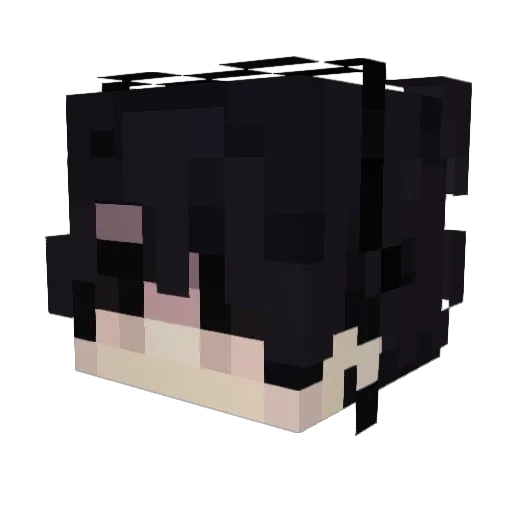 toolieee Minecraft avatar head, 3D render