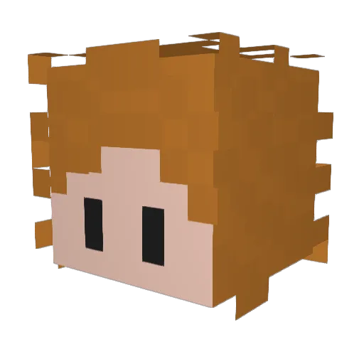toomuchcabbage0 Minecraft avatar head, 3D render