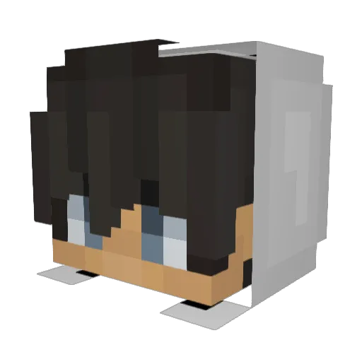 toonbr1me Minecraft avatar head, 3D render