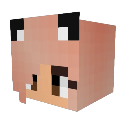 toonfan Minecraft avatar head, 3D render