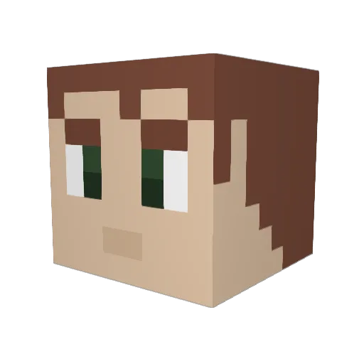 toonlinkguy Minecraft avatar head, 3D render