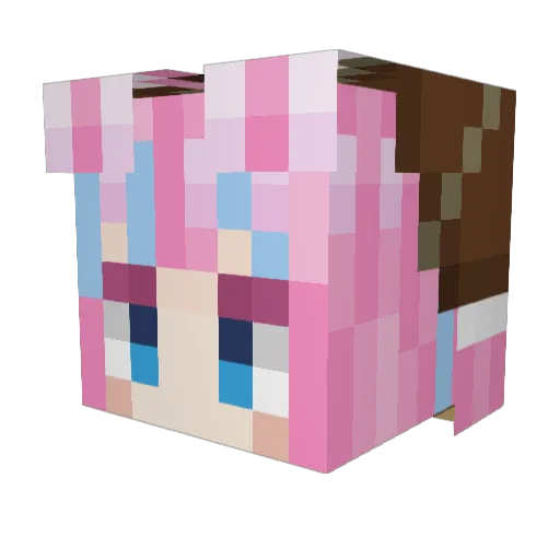 toooa Minecraft avatar head, 3D render