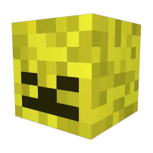 tooraj Minecraft avatar head, 3D render