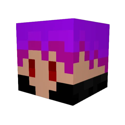 toorisugari1 Minecraft avatar head, 3D render