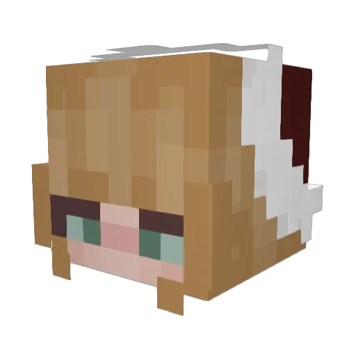tootaaa Minecraft avatar head, 3D render