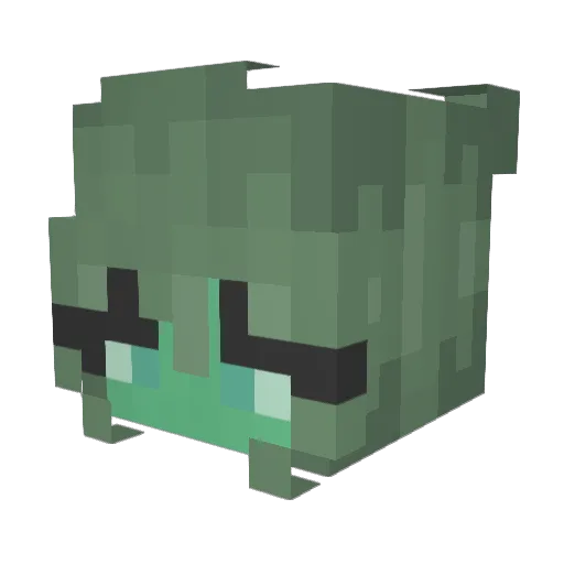 tooterbooter1 Minecraft avatar head, 3D render