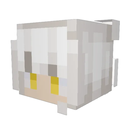 toothlessbird Minecraft avatar head, 3D render