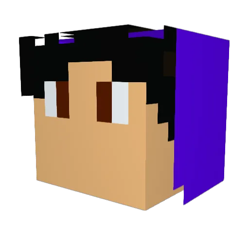 tooxic_gamer Minecraft avatar head, 3D render