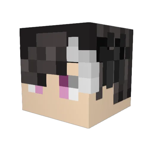 top3ethiopians Minecraft avatar head, 3D render