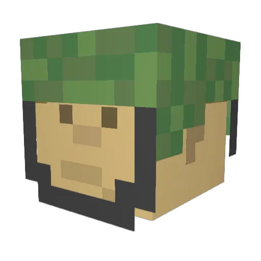topdawg450 Minecraft avatar head, 3D render
