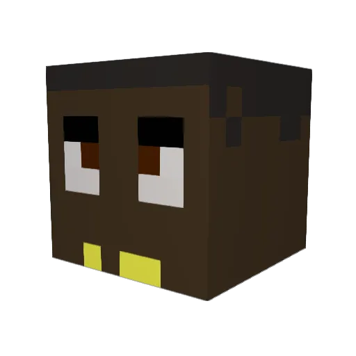 topdrainer Minecraft avatar head, 3D render