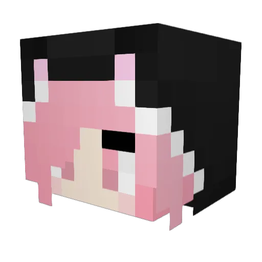 topg83 Minecraft avatar head, 3D render