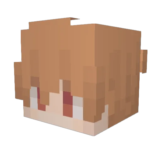 topgys_ Minecraft avatar head, 3D render