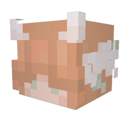 topiopio Minecraft avatar head, 3D render