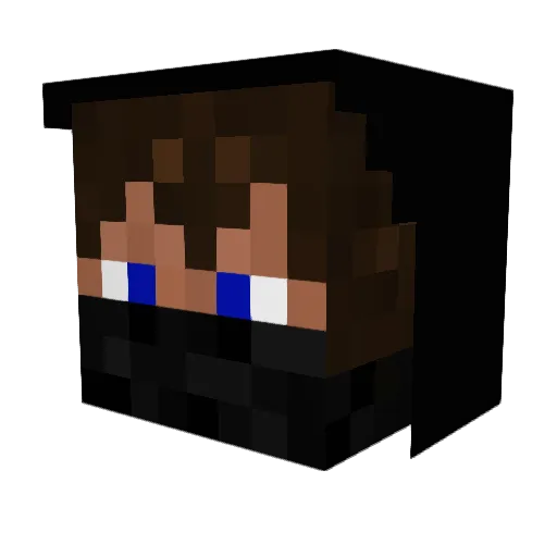 topo_p Minecraft avatar head, 3D render