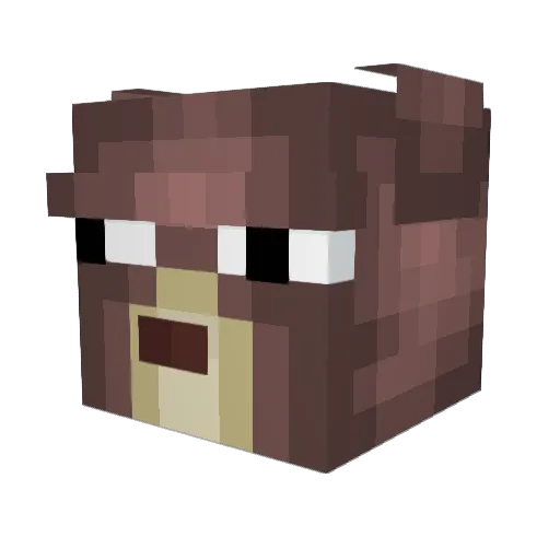 toppinashu Minecraft avatar head, 3D render