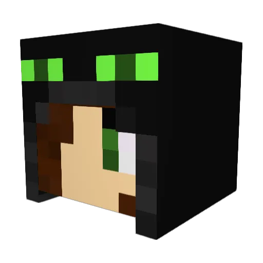 toppo194 Minecraft avatar head, 3D render
