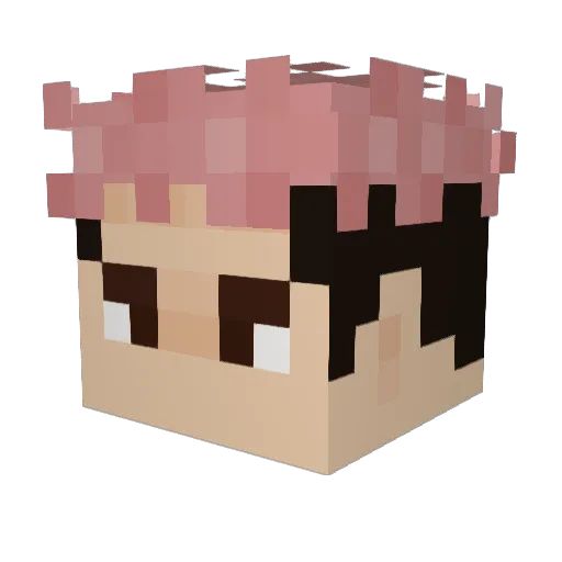 topsoon Minecraft avatar head, 3D render