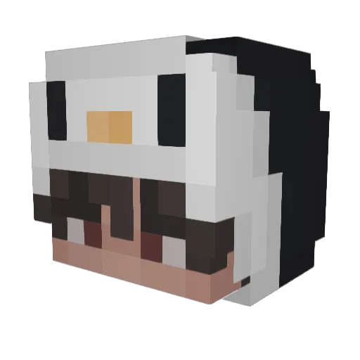 topupoo Minecraft avatar head, 3D render