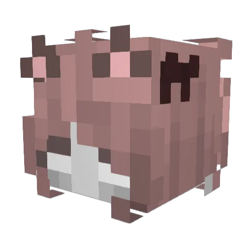 toq1us Minecraft avatar head, 3D render
