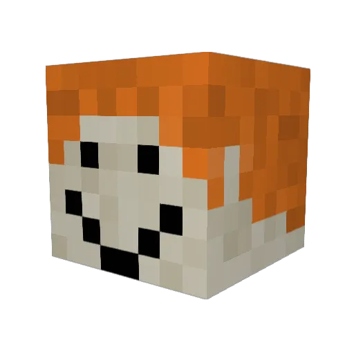 toraaaaaan Minecraft avatar head, 3D render