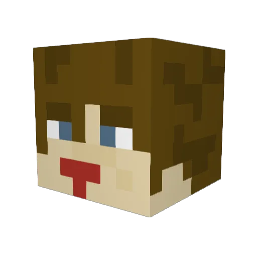 toraitstro Minecraft avatar head, 3D render
