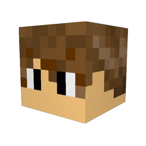 torbjorn95 Minecraft avatar head, 3D render