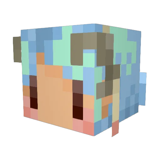 torcet Minecraft avatar head, 3D render