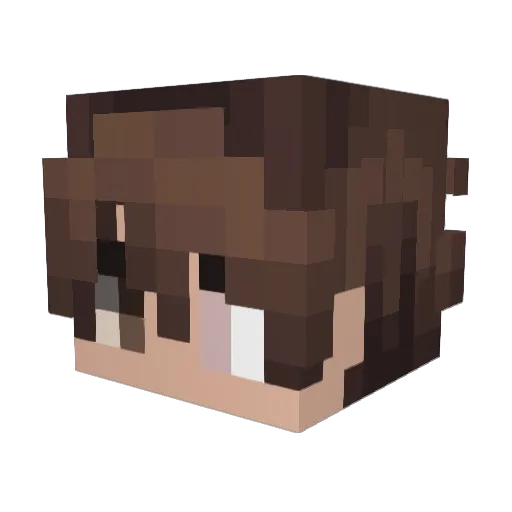 toret564 Minecraft avatar head, 3D render