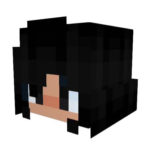 toridoesstuff Minecraft avatar head, 3D render
