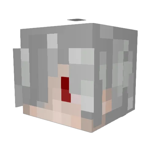 toriegorie Minecraft avatar head, 3D render