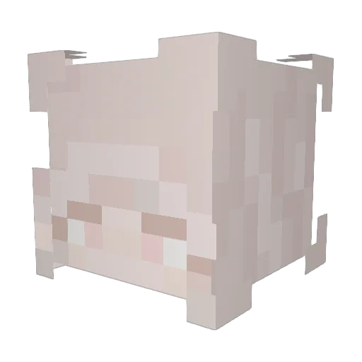 toritea Minecraft avatar head, 3D render