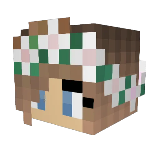 tornade3 Minecraft avatar head, 3D render