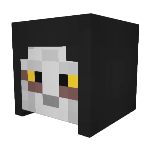 tornadoax20 Minecraft avatar head, 3D render