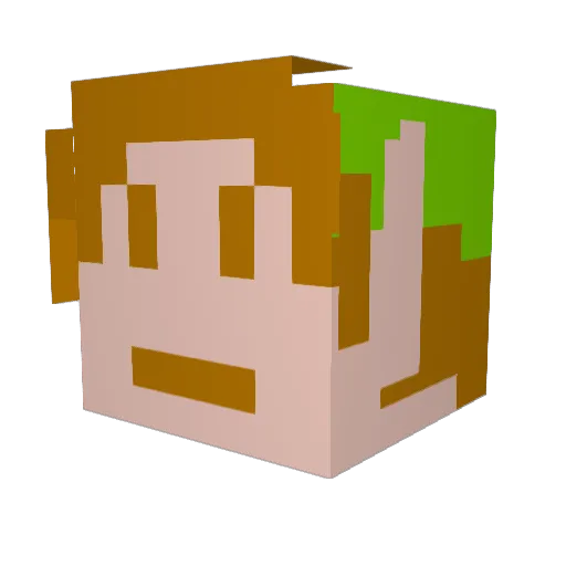 tornadotom11 Minecraft avatar head, 3D render