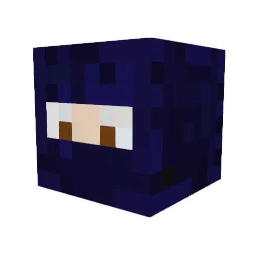 tornadotrist Minecraft avatar head, 3D render